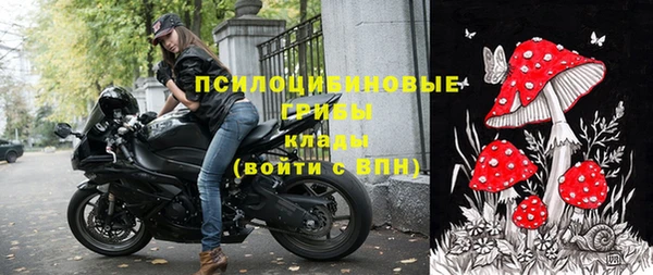 не бодяженный Алексин