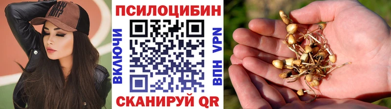 Галлюциногенные грибы Magic Shrooms  omg ссылки  Брюховецкая 